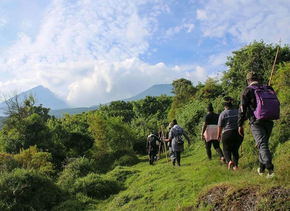 Combining Hiking with Safari in Uganda and Rwanda