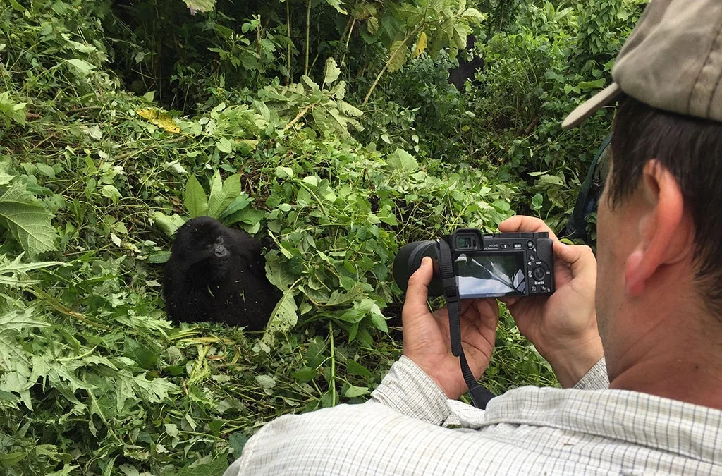 How to Plan a 10-Day Tanzania and Rwanda Perfect Safari