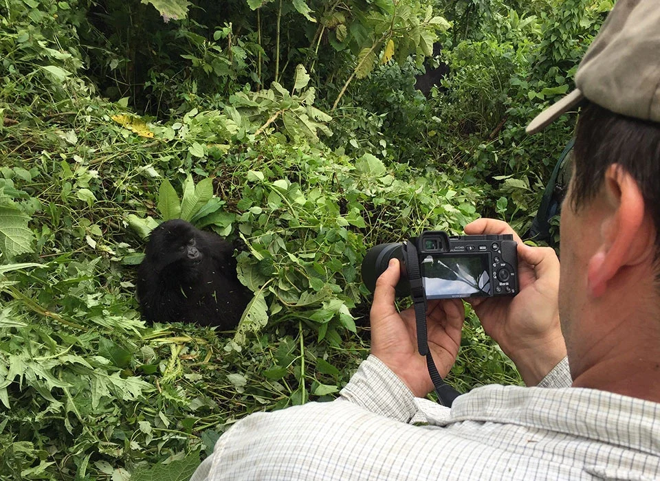How to Plan a 10-Day Tanzania and Rwanda Perfect Safari