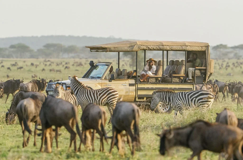 How to Plan a Luxury Rwanda–Kenya Safari