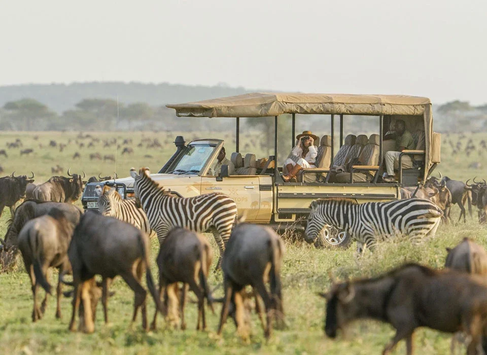 How to Plan a Luxury Rwanda–Kenya Safari