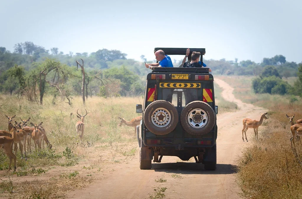 How to Plan a Safari in Akagera National Park