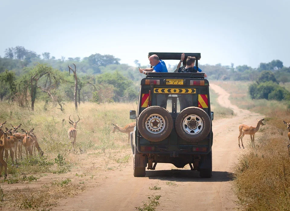 How to Plan a Safari in Akagera National Park