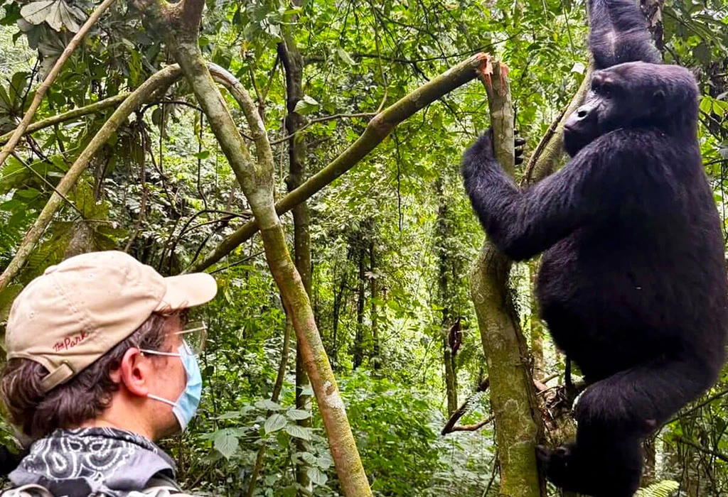 Luxury Rwanda–Kenya Safari