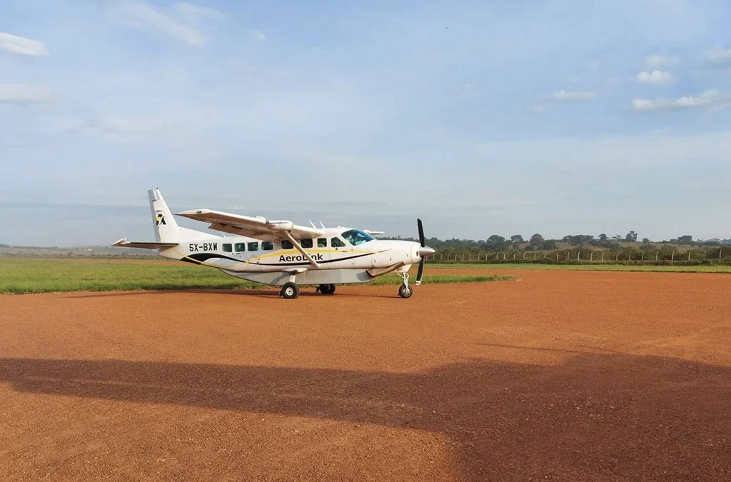 The cost of fly-in Uganda Gorillas & Game Safari