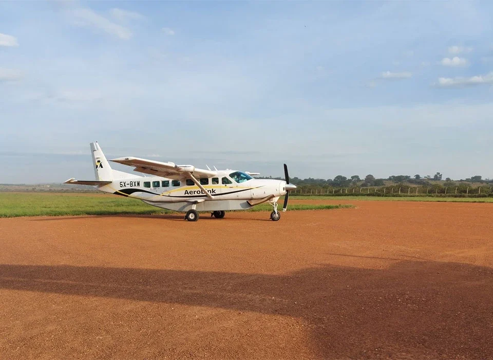The cost of fly-in Uganda Gorillas & Game Safari
