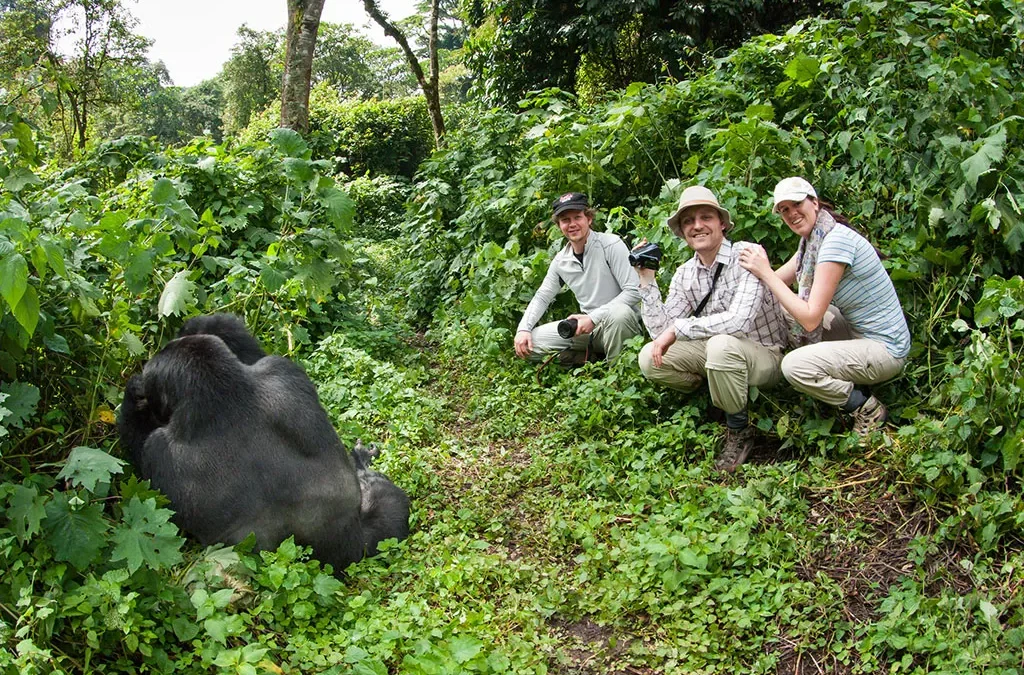 Maasai Mara and Rwanda Gorillas Safari