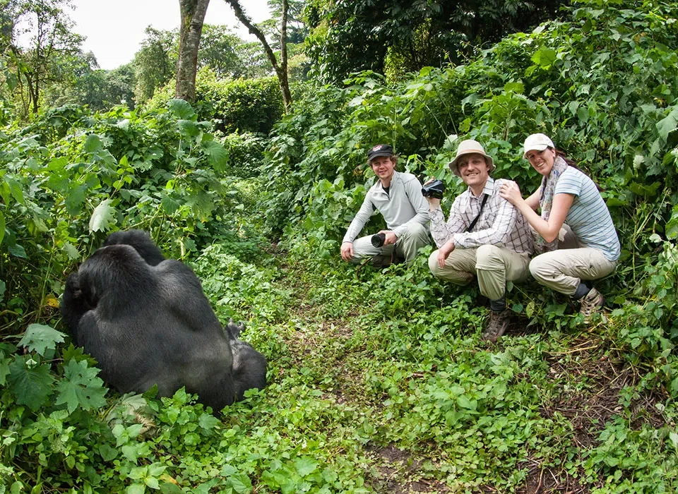 Maasai Mara and Rwanda Gorillas Safari