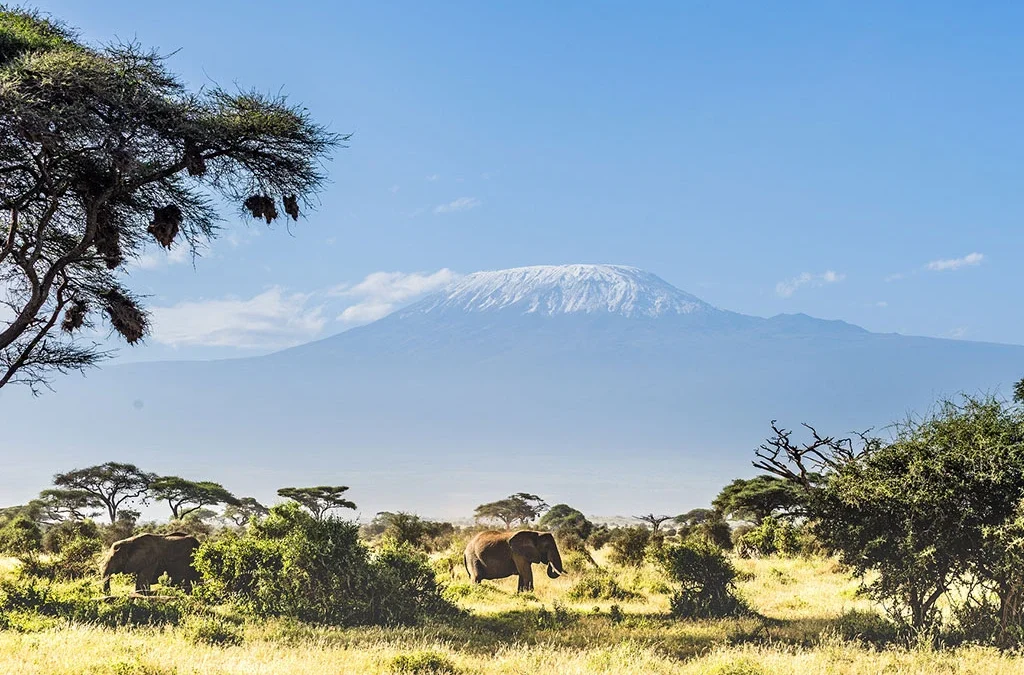 The cost of 3-Day Amboseli National Park Safari