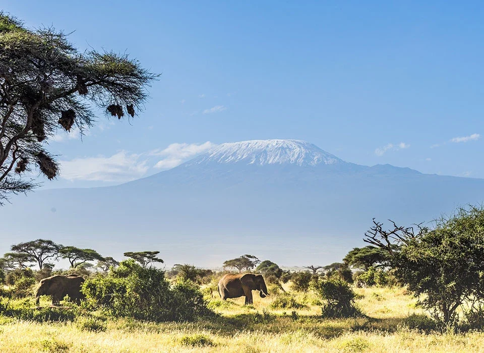 The cost of 3-Day Amboseli National Park Safari