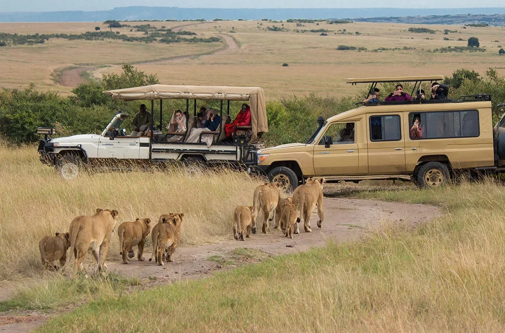 The cost of 3-Day Maasai Mara Safari Escape