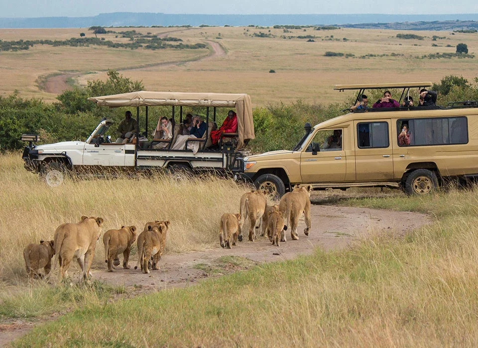 The cost of 3-Day Maasai Mara Safari Escape