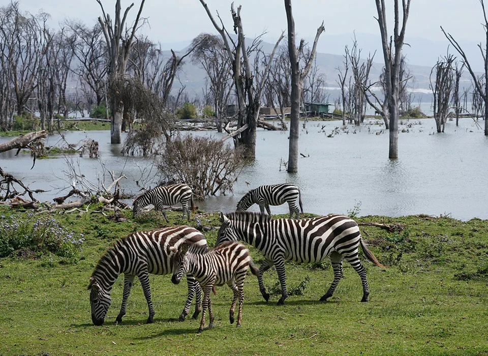 The cost of 5-Day Great Rift Valley & Maasai Mara