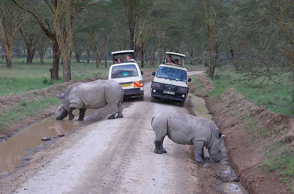 The cost of 7-Day Best of Kenya Safari