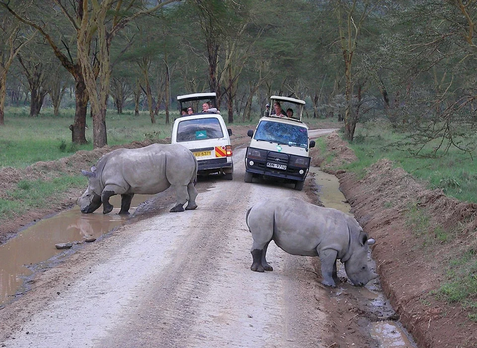 The cost of 7-Day Best of Kenya Safari