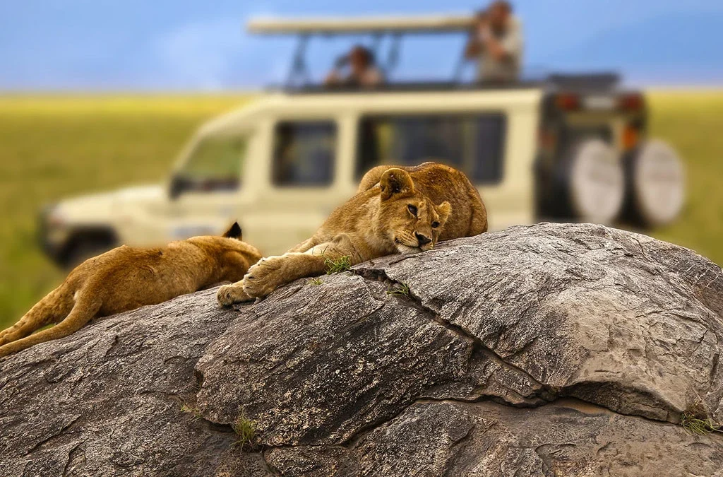 The cost of 9-Day Kenya and Tanzania Safari