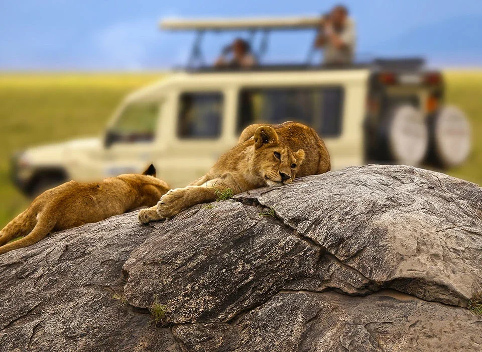 The cost of 9-Day Kenya and Tanzania Safari