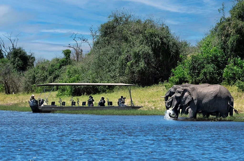 Why Visit Chobe National Park – Botswana