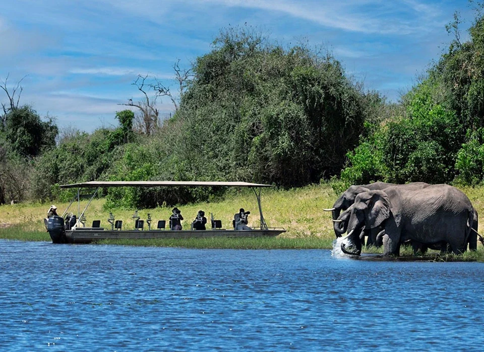 Why Visit Chobe National Park – Botswana