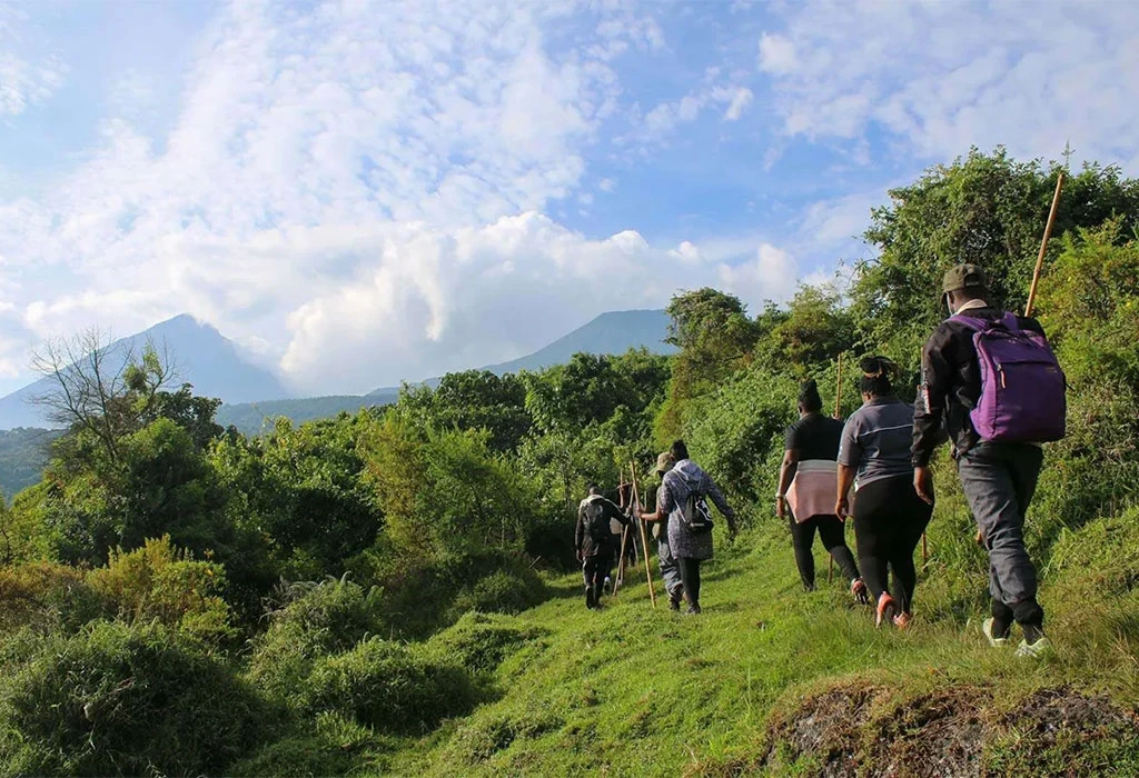Luxury Gorilla Safari to Mgahinga