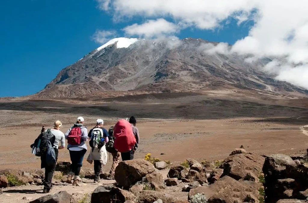 How to Book Your 12-Day Mt.Kilimanjaro and Rwanda Gorillas