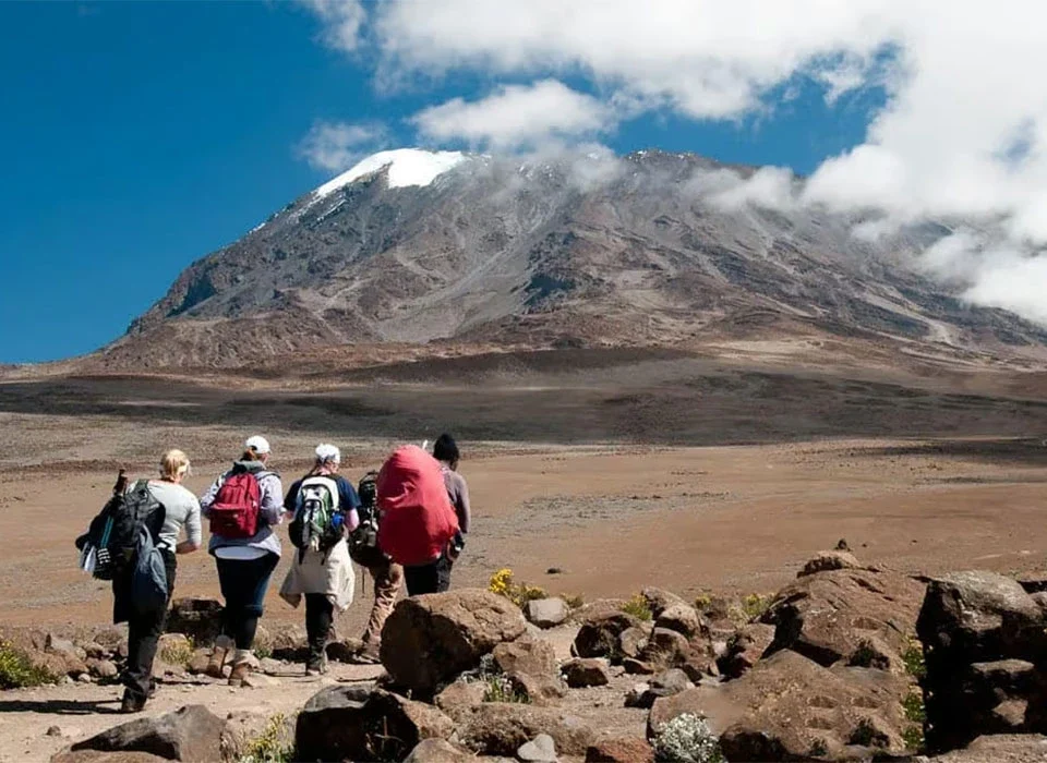 How to Book Your 12-Day Mt.Kilimanjaro and Rwanda Gorillas