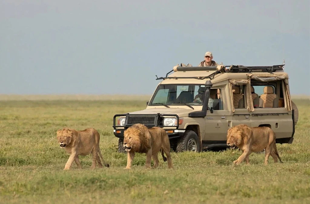 Why Tanzania’s Northern Circuit is the ultimate first-timer’s choice.
