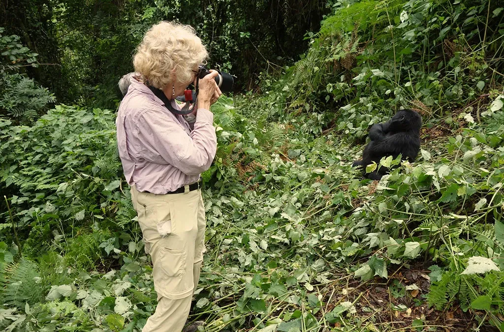Affordable Gorilla and Chimpanzee Safari in Uganda