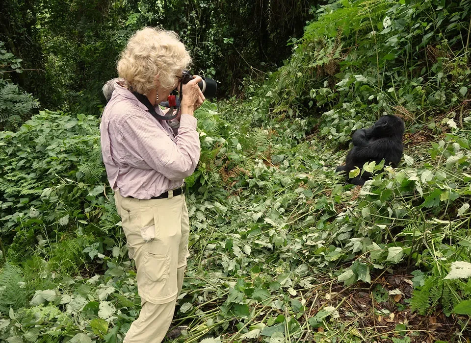 Affordable Gorilla and Chimpanzee Safari in Uganda