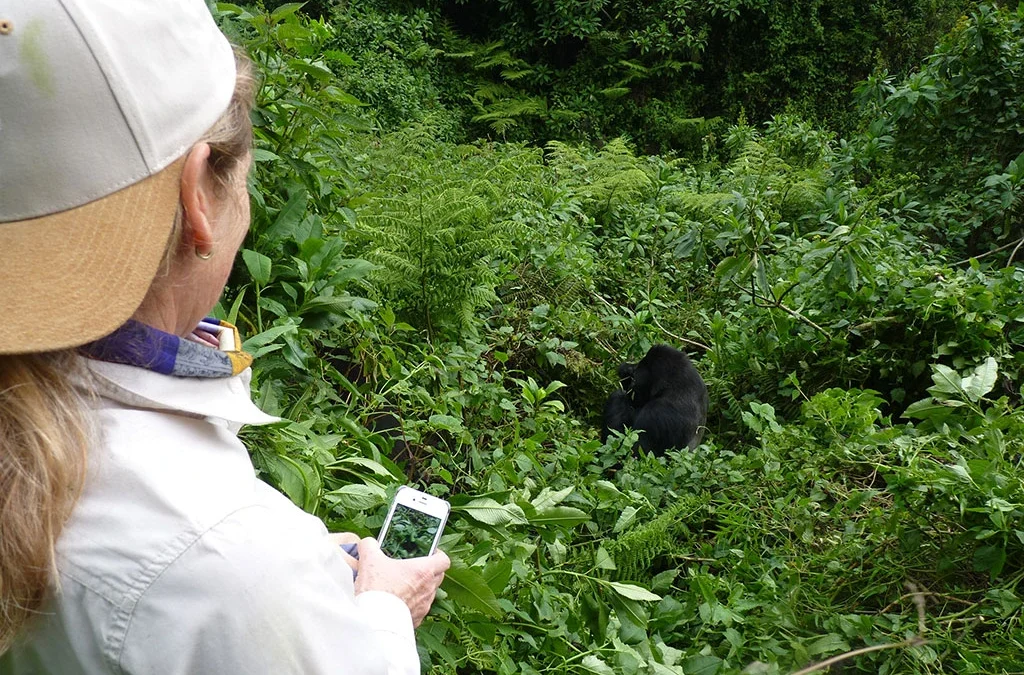 Cost of Rwanda Safari Per Person: A Complete Budget Guide