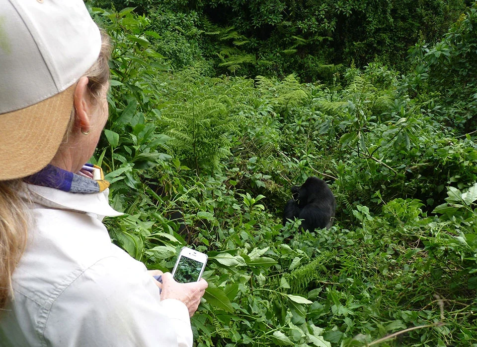 Cost of Rwanda Safari Per Person: A Complete Budget Guide