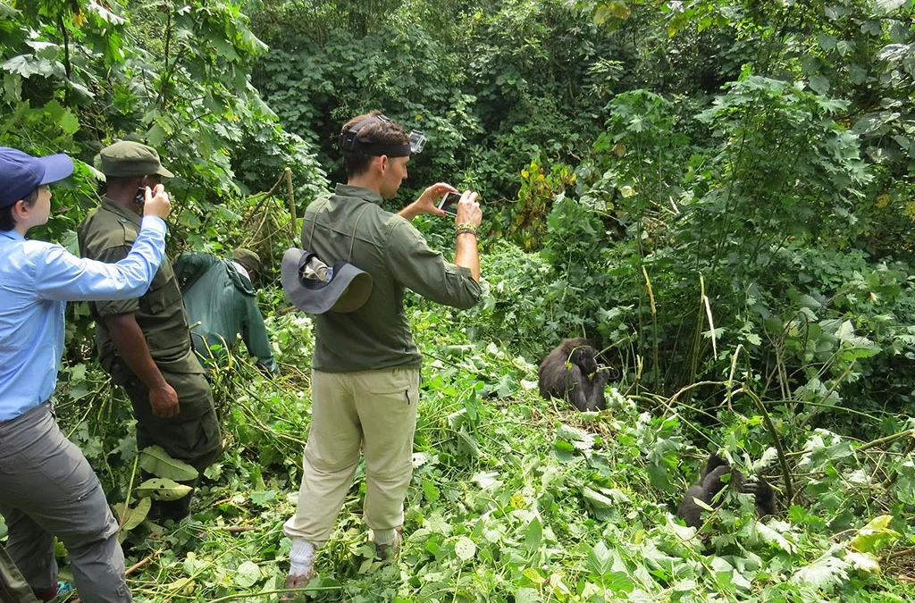 How Much Does a Mid-Range Safari in Uganda Cost