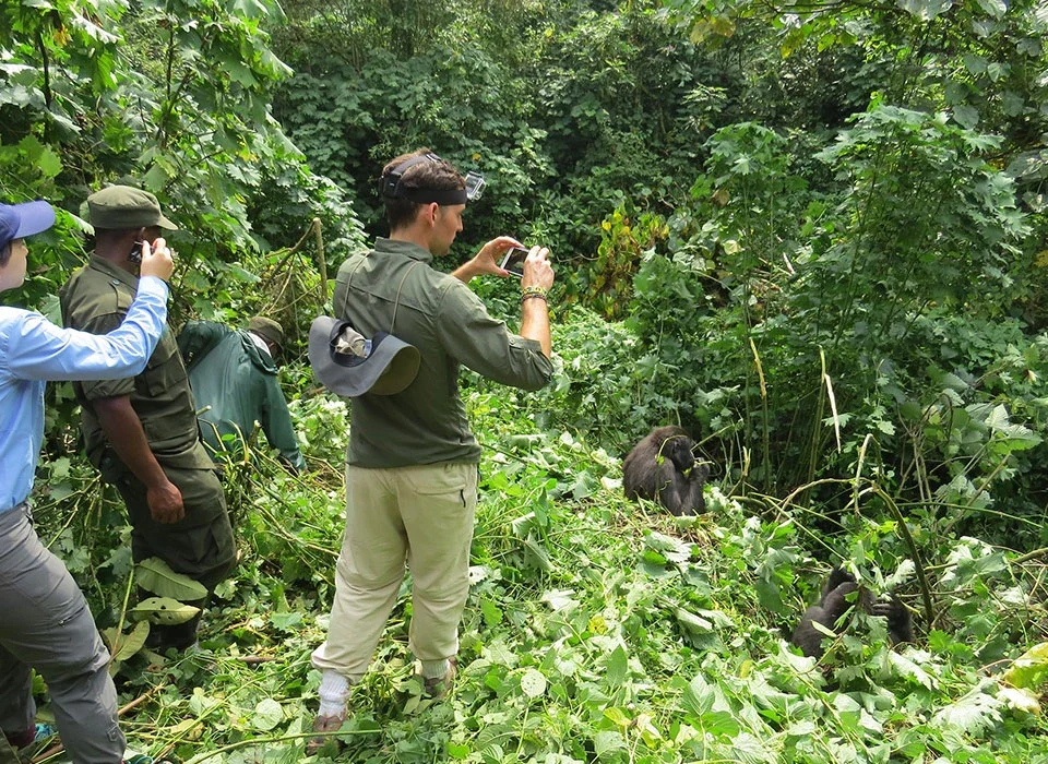 How Much Does a Mid-Range Safari in Uganda Cost