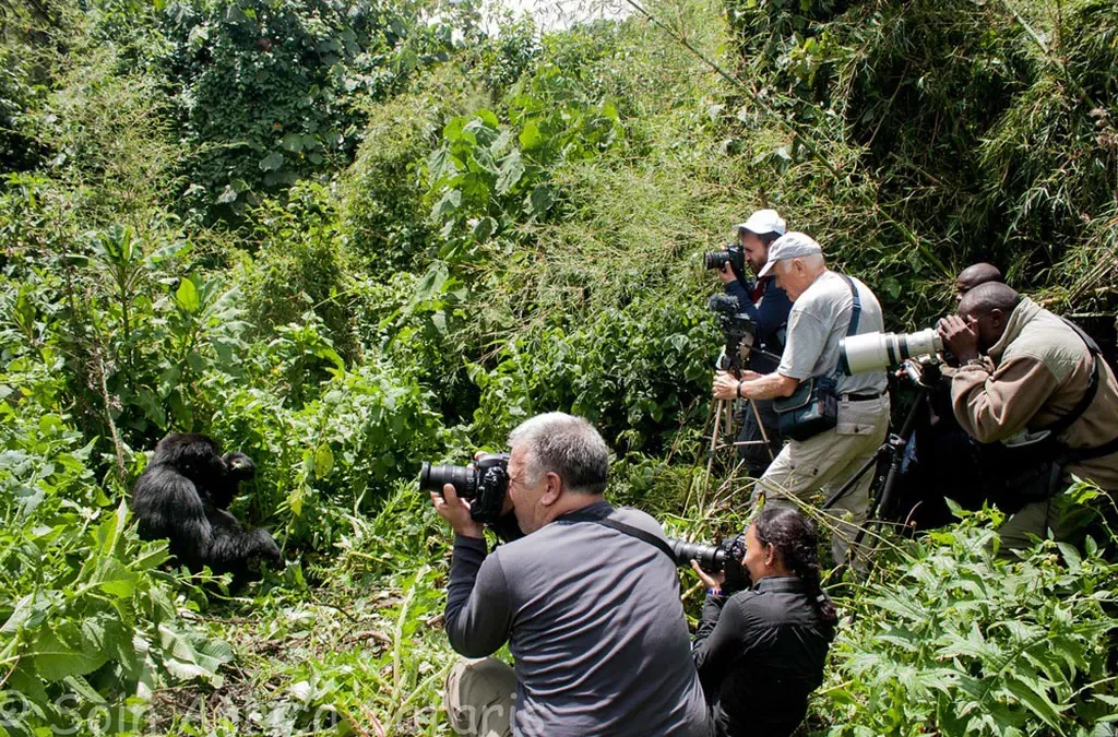 How much does a Rwanda Safari Cost.webp