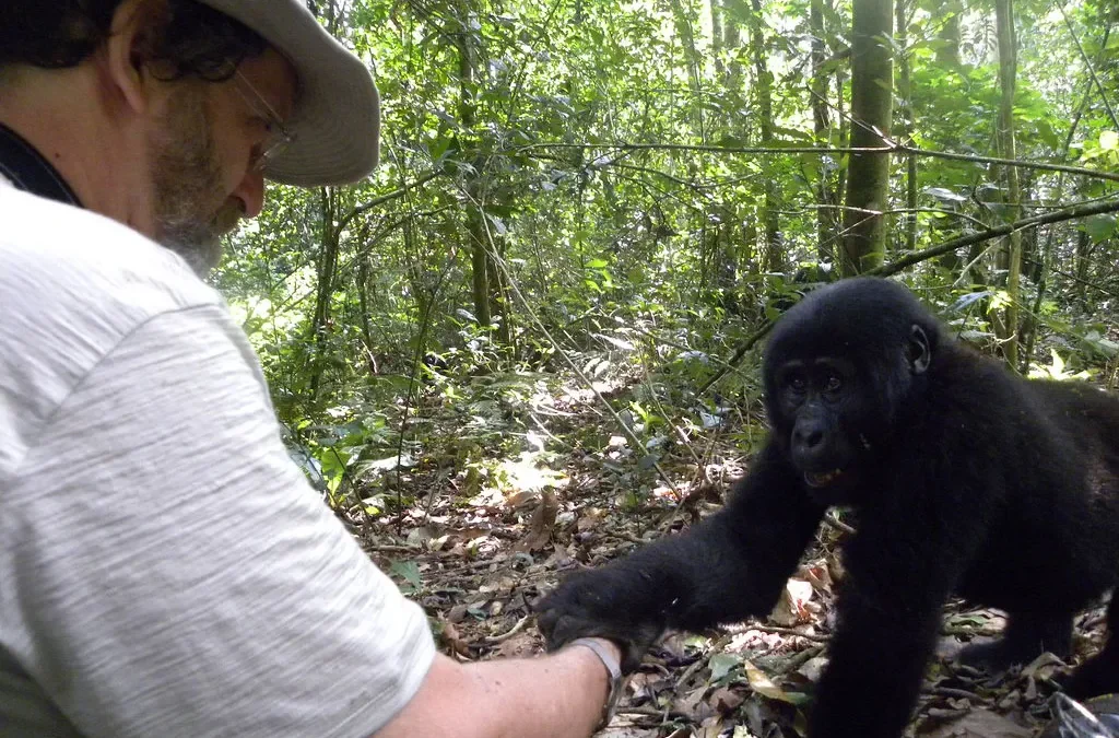 Is Gorilla Trekking Cheaper in Uganda or Rwanda