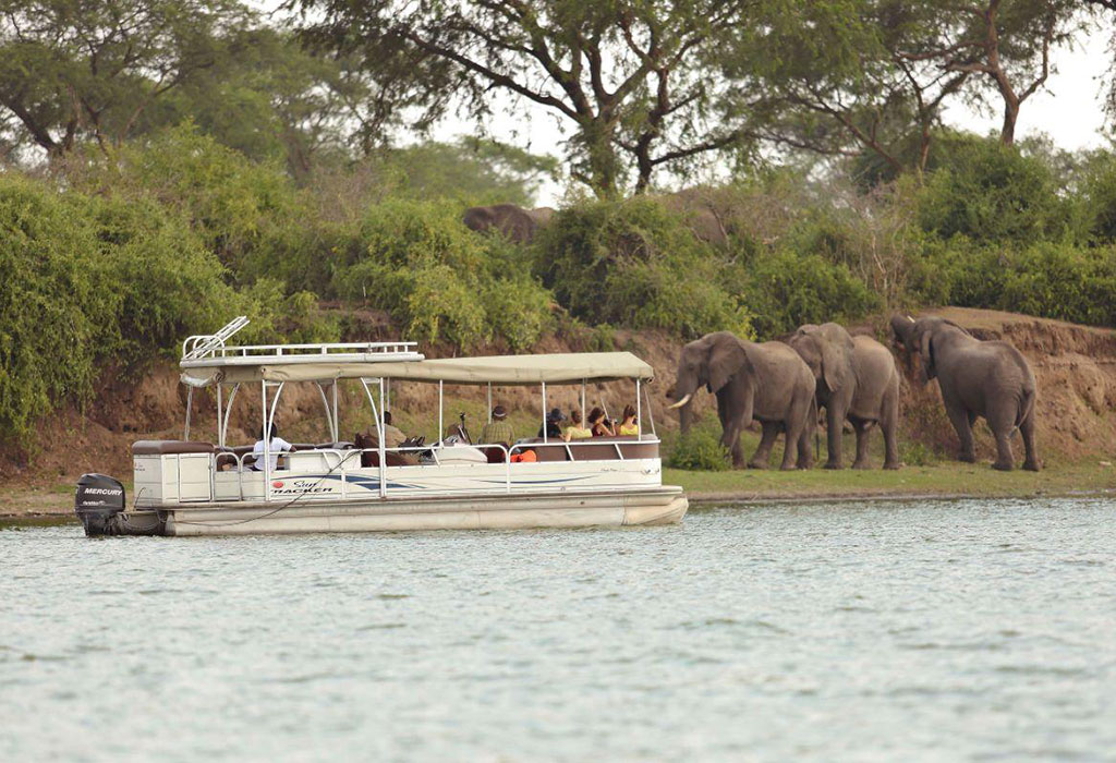 Bwindi and Queen Elizabeth Safari