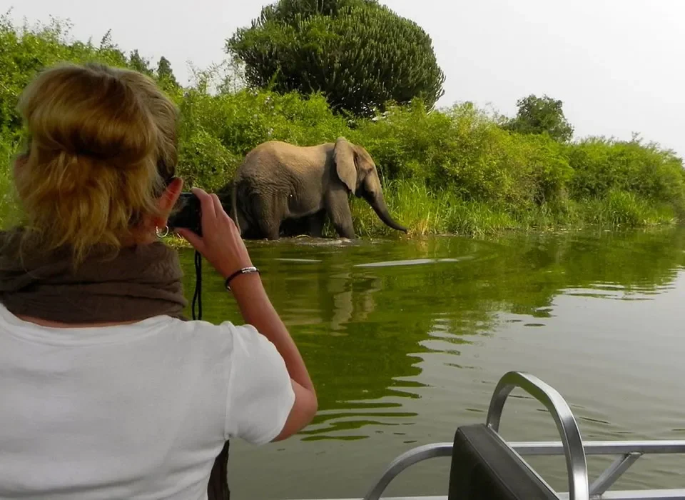 budget safari Uganda cost