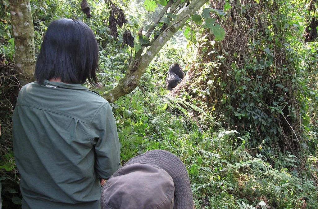 4-Day Uganda Safari - Mgahinga Gorillas & Golden Monkeys