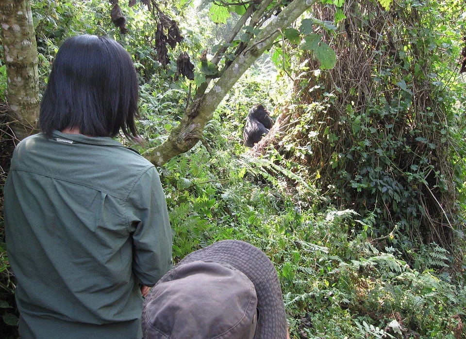 4-Day Uganda Safari - Mgahinga Gorillas & Golden Monkeys