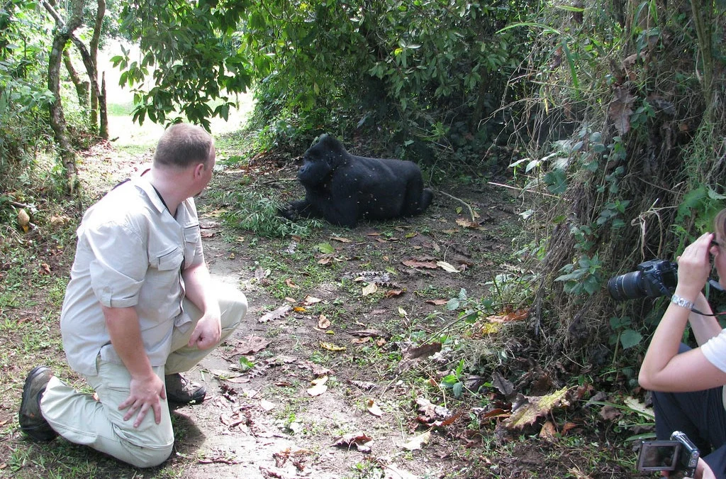5-Day Uganda Safari Gorilla Trekking & Wildlife