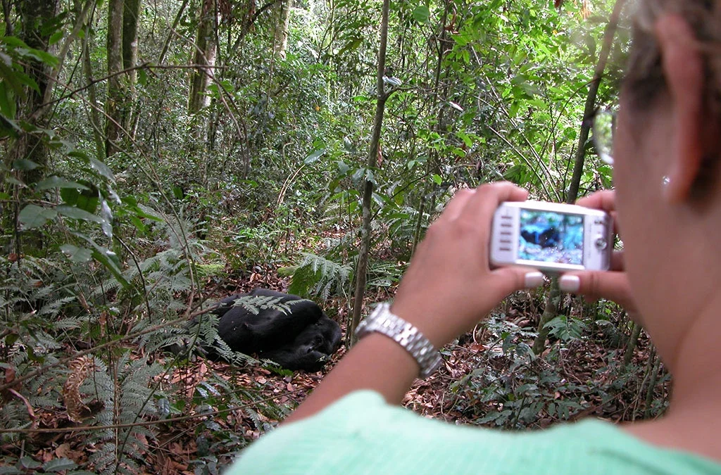 6-Day Uganda Safari Gorillas, Wildlife & Lake Bunyonyi
