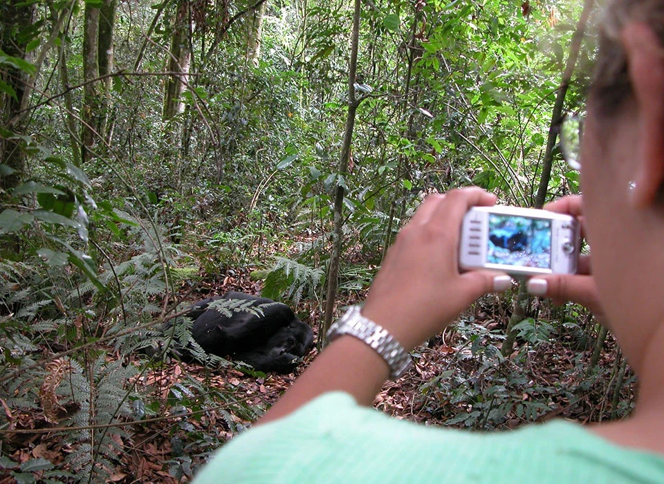 6-Day Uganda Safari Gorillas, Wildlife & Lake Bunyonyi
