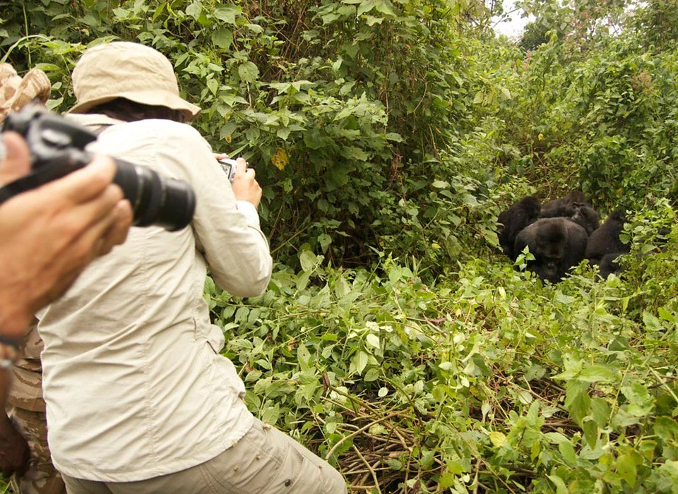 7-Day Uganda Gorilla and Chimpanzee Safari