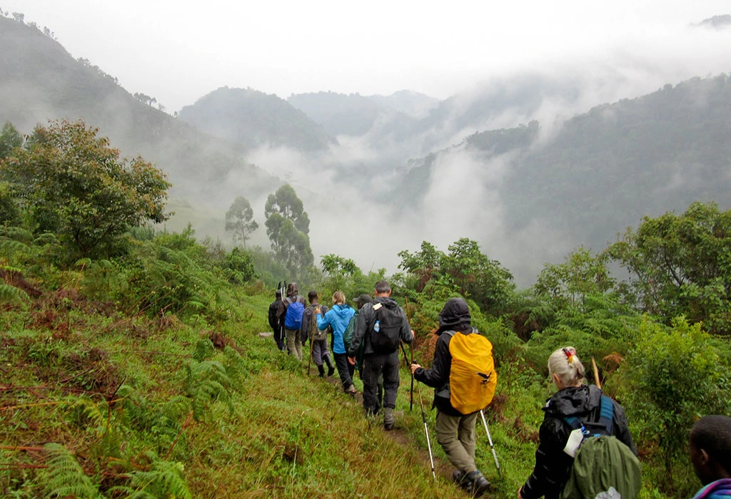 Fitness and Preparation for Uganda Gorilla Safaris from Kigali