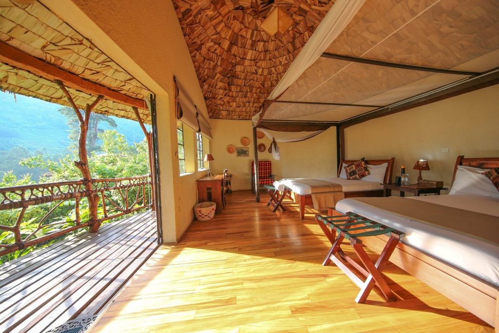 Luxury Gorilla Lodges in Bwindi