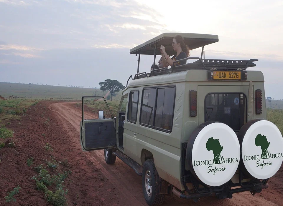 Uganda Safari in January and February