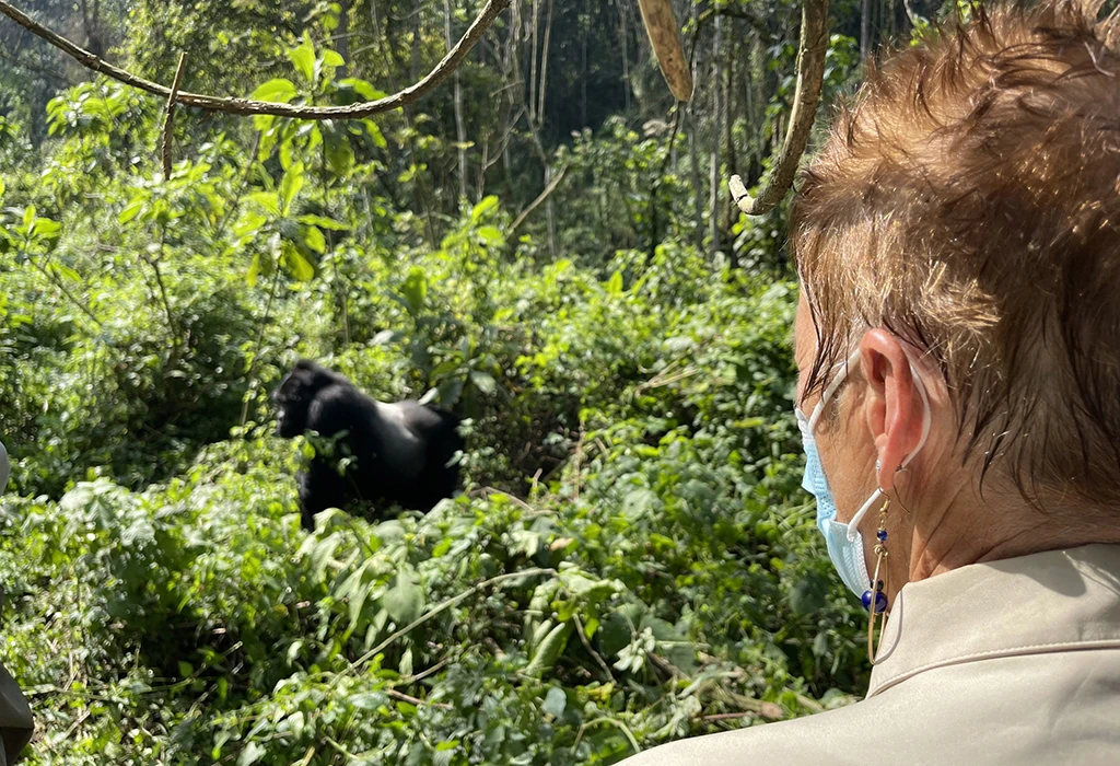 Gorilla Trekking in Uganda