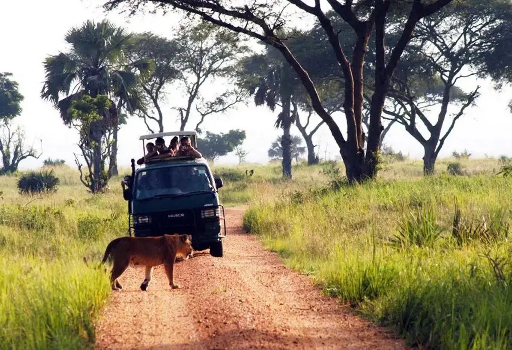 Game drive on the northern plains of Murchison Falls National Park