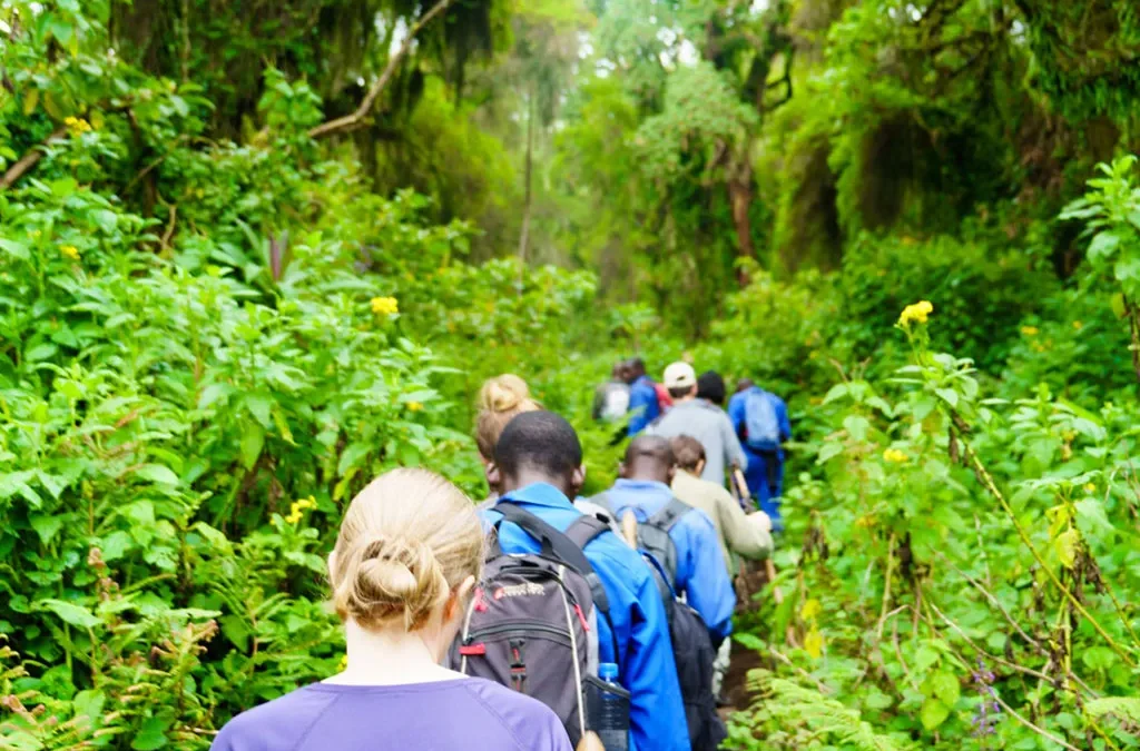 5-Day Rwanda Safari