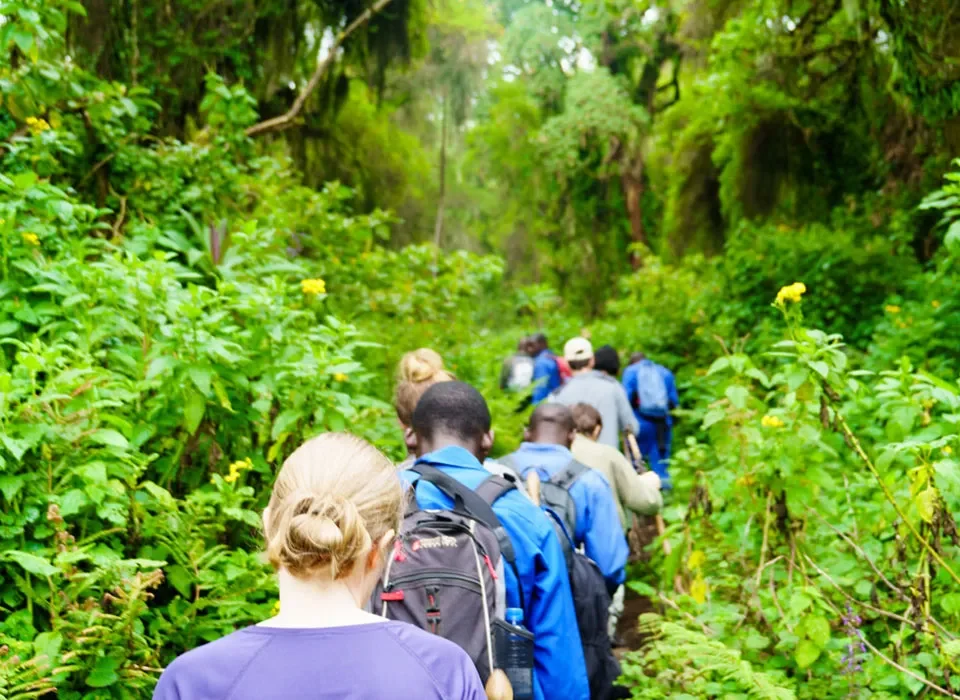 5-Day Rwanda Safari